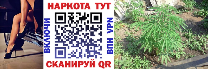 Где купить наркотики Любим АМФЕТАМИН  Галлюциногенные грибы  МАРИХУАНА  Кокаин  Alpha-PVP  Гашиш 