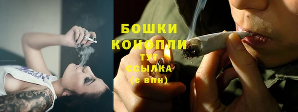 ALPHA PVP Рославль