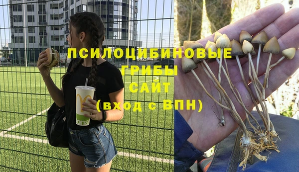 кристаллы Россошь