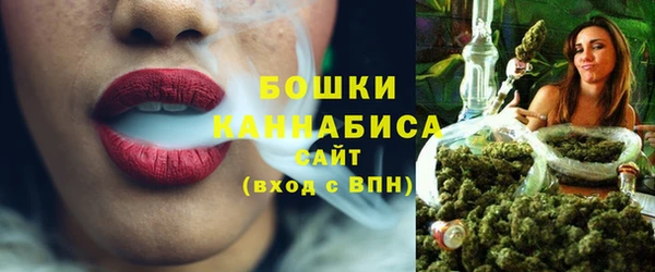 молекула духа Ростов