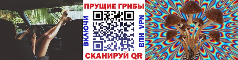 Галлюциногенные грибы мицелий продажа наркотиков Любим